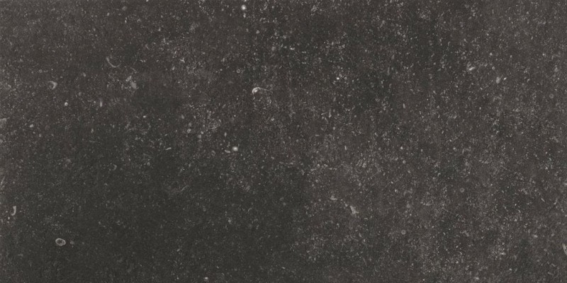 BN-1916