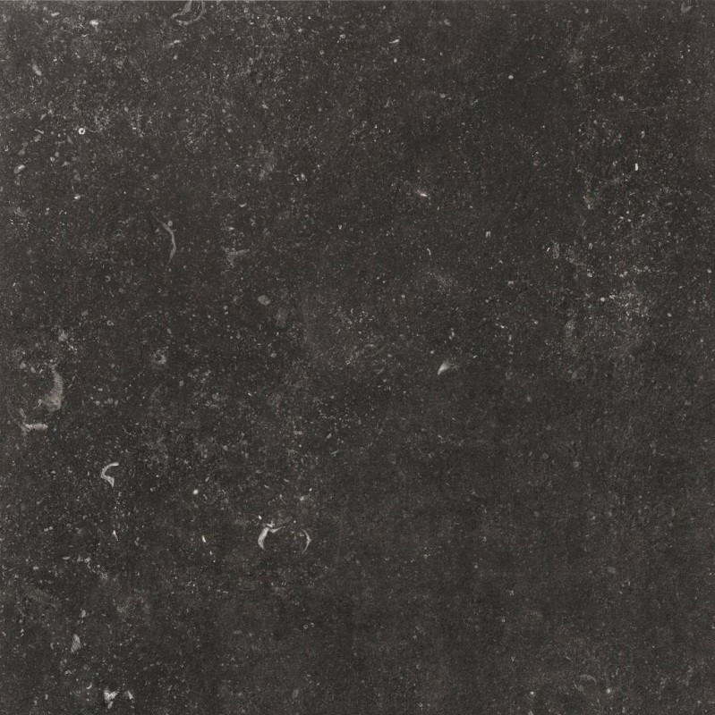 BN-1917