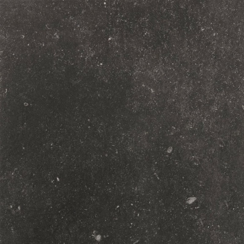 BN-1917