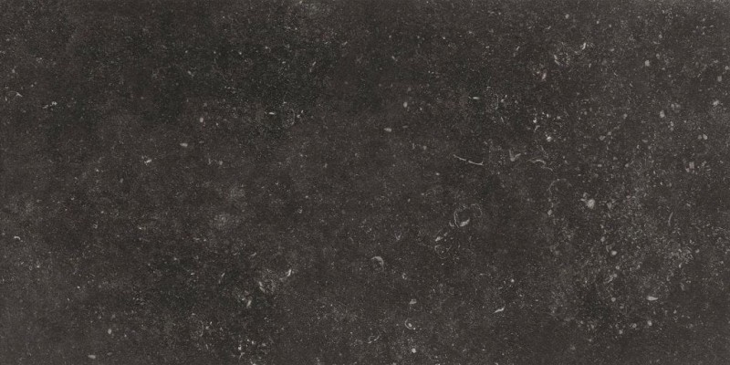 BN-1920