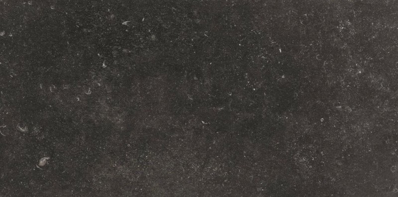BN-1920