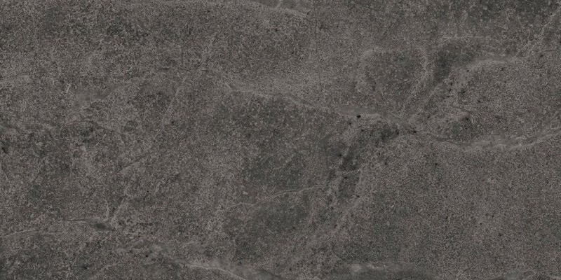 BN-2081