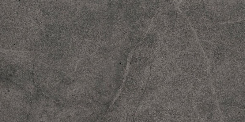 BN-2081