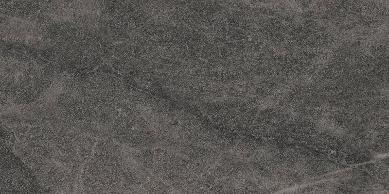 BN-2081