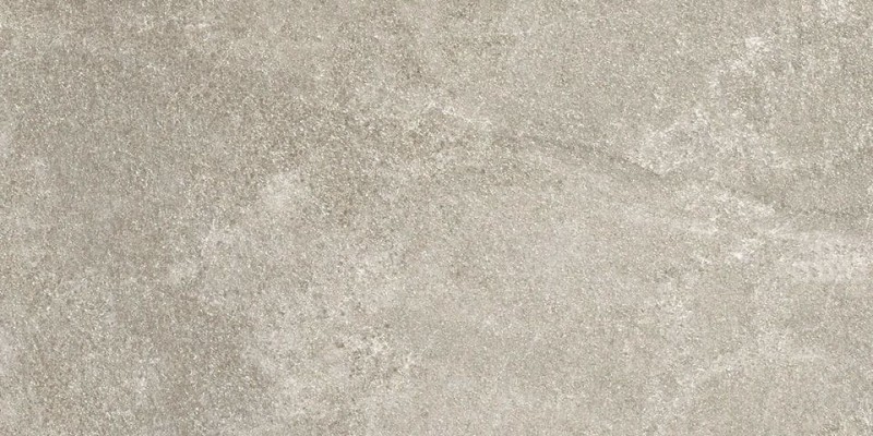 BN-2231
