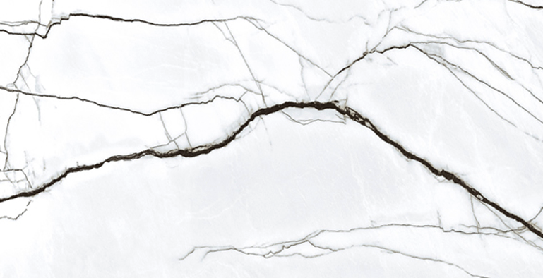 Magnifica Marquina Blanco 120x240 spiek marmurowy