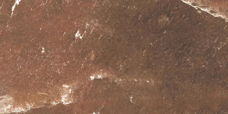 BN-2329
