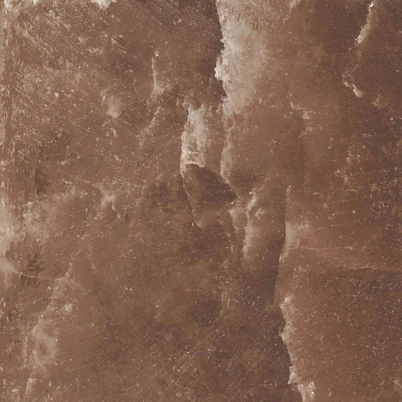 BN-2351