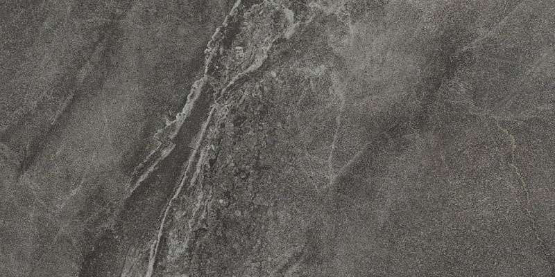 BN-2483