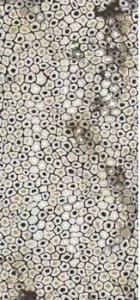 Imola Ceramica The Room Bianco - płytka dekoracyjna 120 x 278 cm JAGUAR6 278LP, jaguar