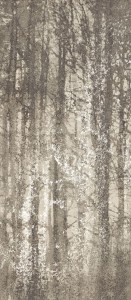 Płytki scienne Fap Ceramiche YLICO YC 278 WOOD FOG