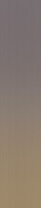 Wow MELANGE KAHKI SEA 10.7x54.2