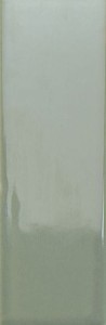 Wow BITS KALE GLOSS 3,7x11,6