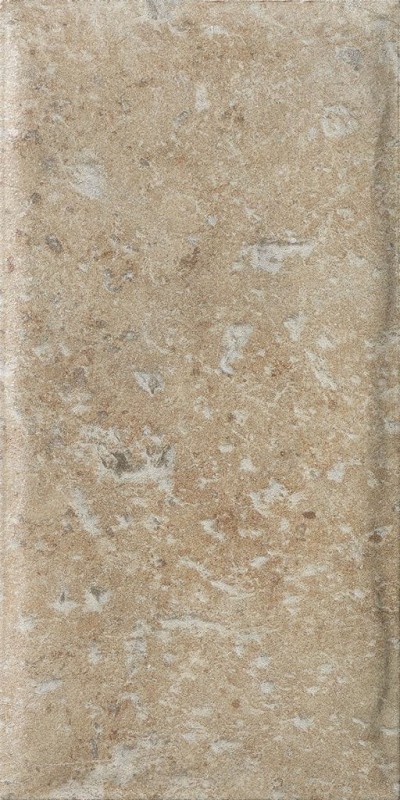 СRPL-00447