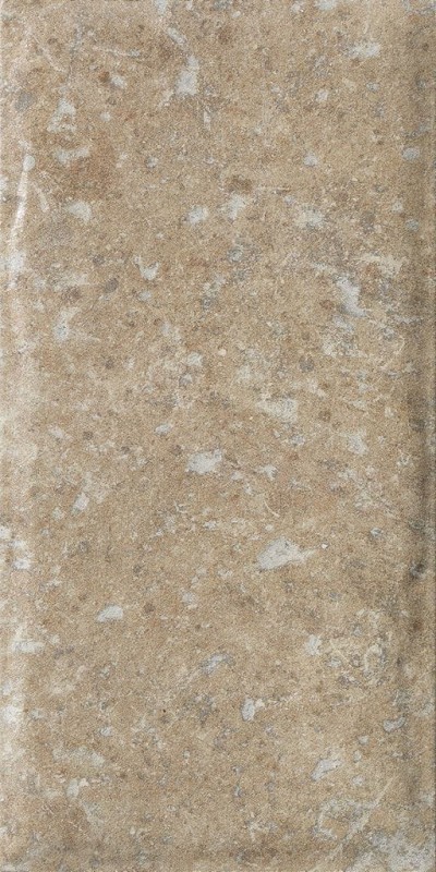 СRPL-00447