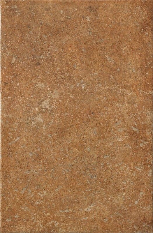 СRPL-00454