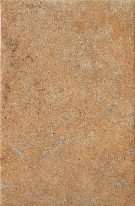СRPL-00454