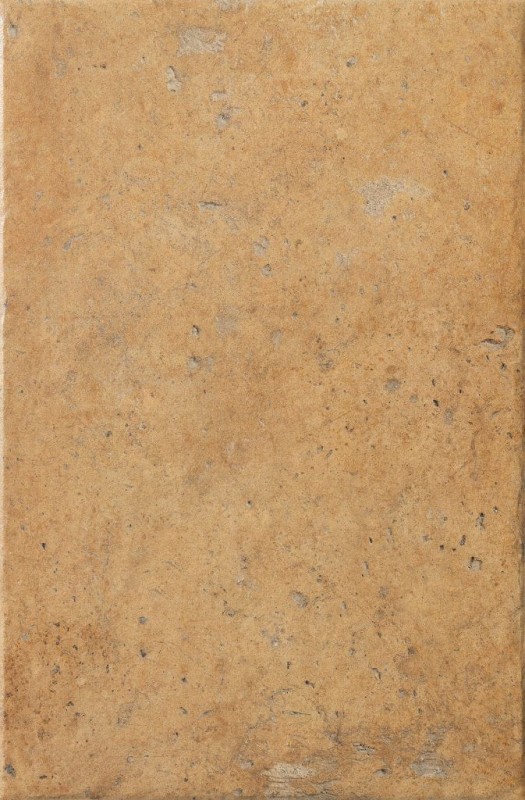 СRPL-00454