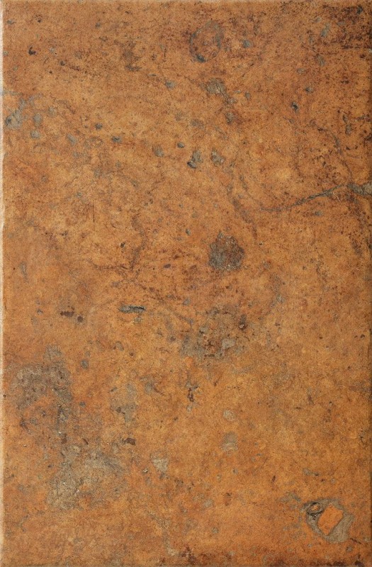 СRPL-00455