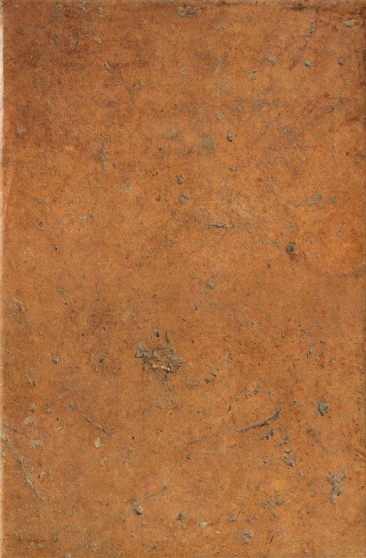 СRPL-00455