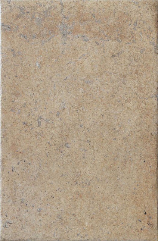 СRPL-00462