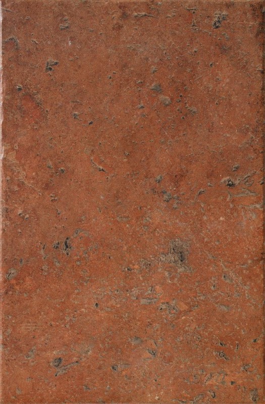 СRPL-00481
