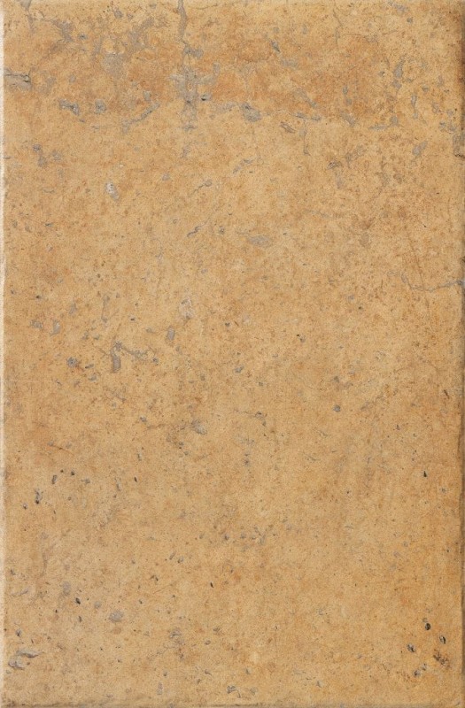 СRPL-00482