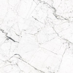 Płytki gresowe Fanal -Windsor White 120X120 Rec