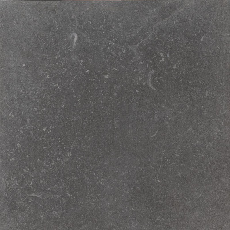 СRPL-01040