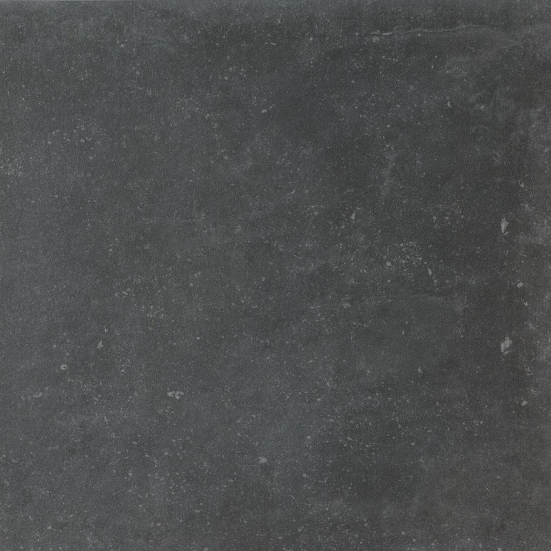 СRPL-01040