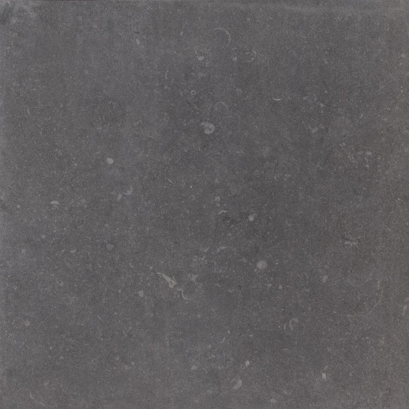 СRPL-01040