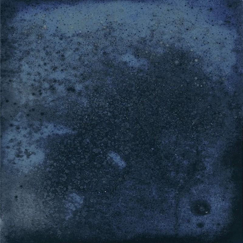 СRPL-01293