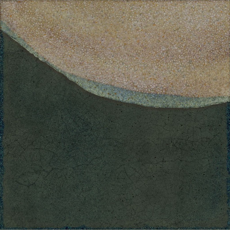 СRPL-01980