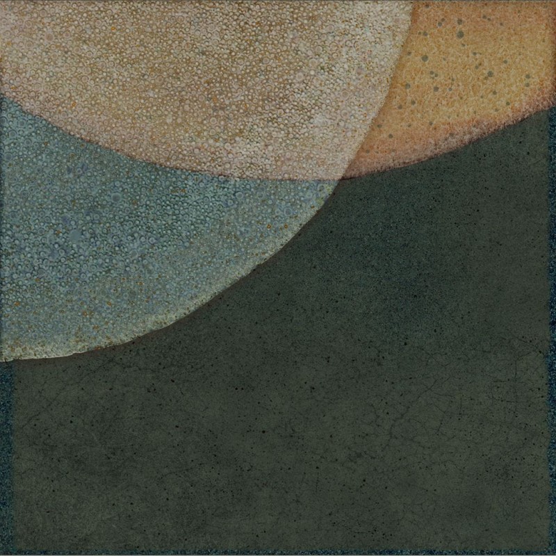 СRPL-01980