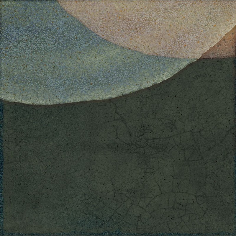 СRPL-01980