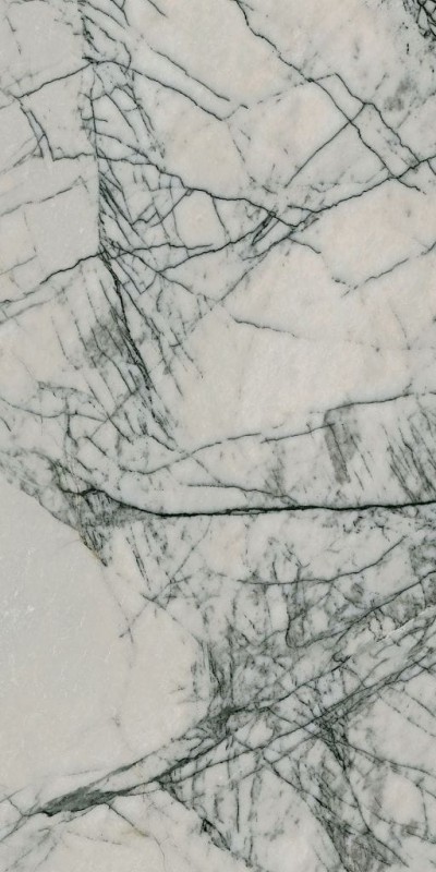 СRPL-02292