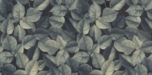 Płytki dekoracyjne ABK Wide&Style Mini Foliage 60x120 Decorato /1,44m2/