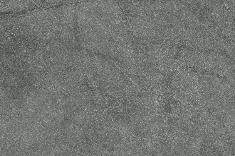 СRPL-02361
