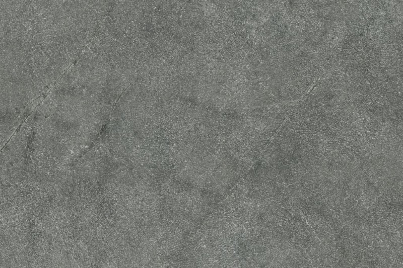 СRPL-02361