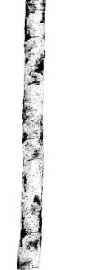 Plytki wielkoformatowe Cotto d'Este Kerlite Wonderwall Non Definito Natura 100x300 3,5mm Ritmi 01 /3Szt./