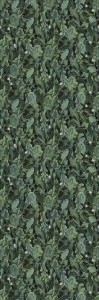 Plytki wielkoformatowe Cotto d'Este Kerlite Wonderwall Non Definito Natura 100x300 3,5mm Printemps /3Szt./