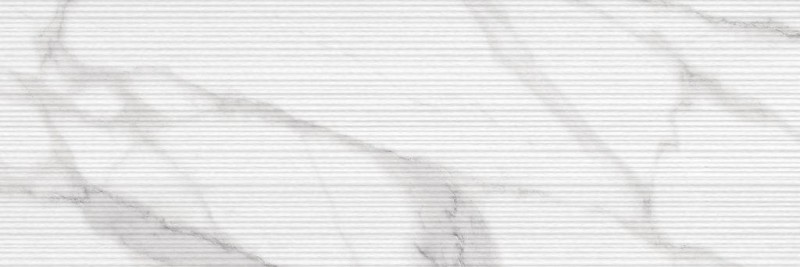 СRPL-03560