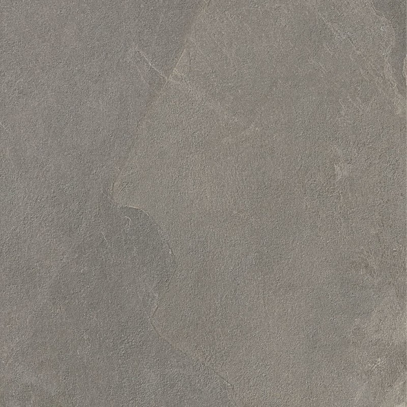 СRPL-03649