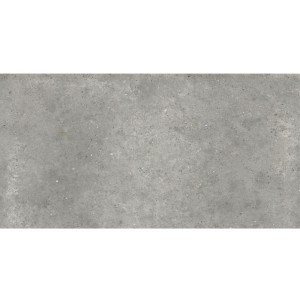 Ariana Anima Grigio Naturale 60x120 płytki gresowe imitujące beton
