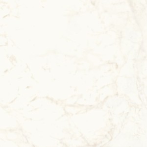 Płytki marmuropodobne Atlas Concorde Marvel Calacatta Delicato 120x120 Lappato /2,88m2/