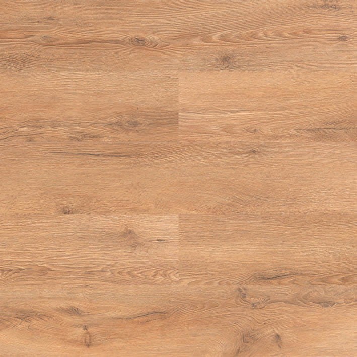 VNS-00016