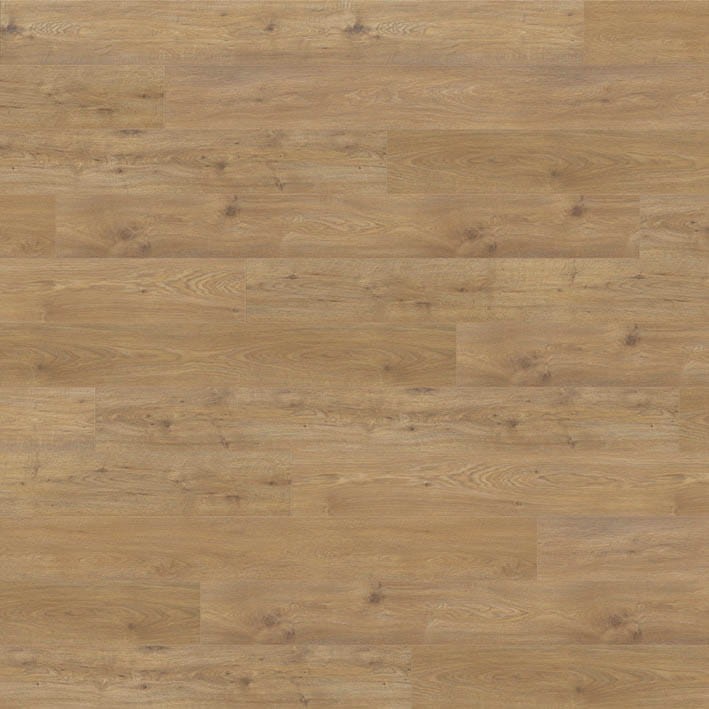 VNS-00021