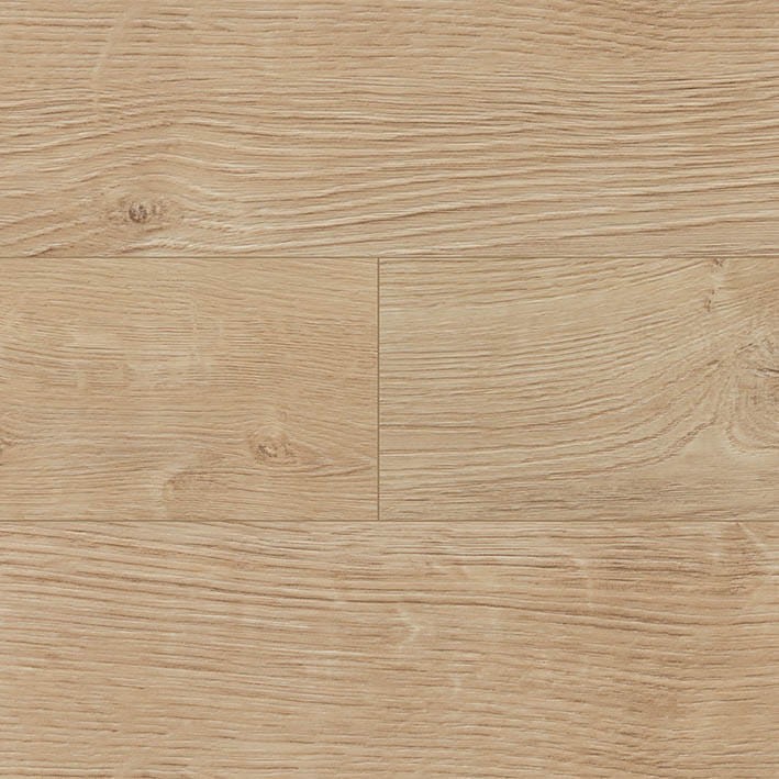 VNS-00024