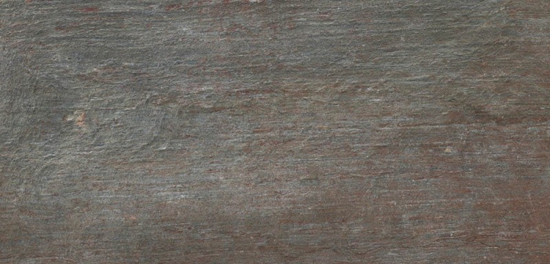 VNS-00031