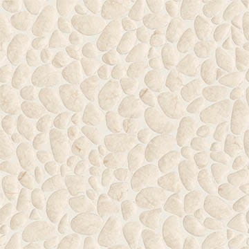 VNS-00060